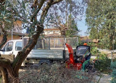 Manutenzione giardini