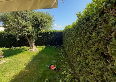 Manutenzione giardini